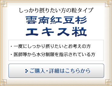 しっかり摂りたい方の粒タイプ　雲南紅豆杉エキス粒