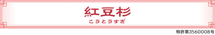 紅豆杉/こうとうすぎ